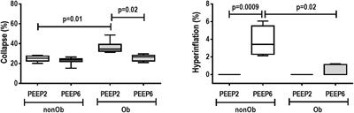 Effects of Protective Mechanical Ventilation With Different PEEP Levels on Alveolar Damage and Inflammation in a Model of Open Abdominal Surgery: A Randomized Study in Obese Versus Non-obese Rats